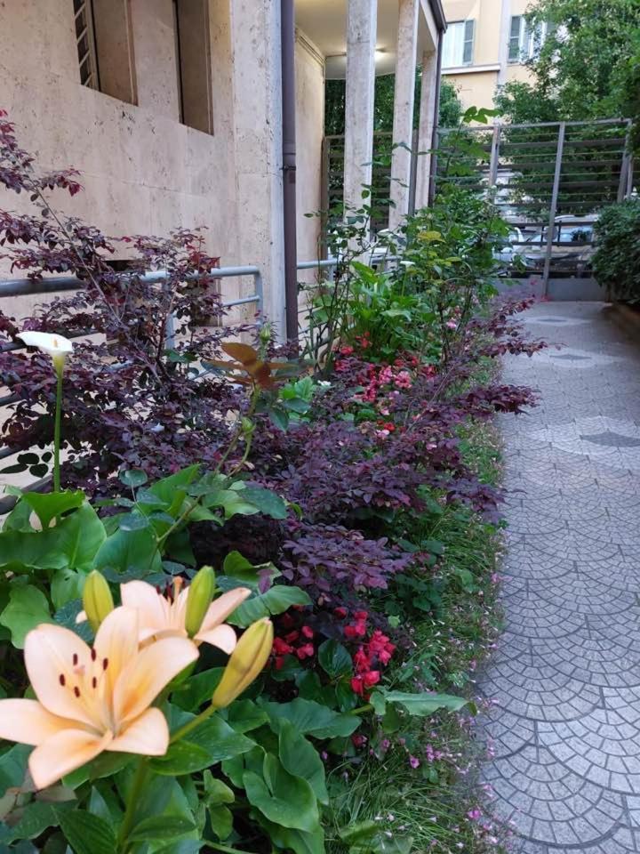 Apartment Rosy