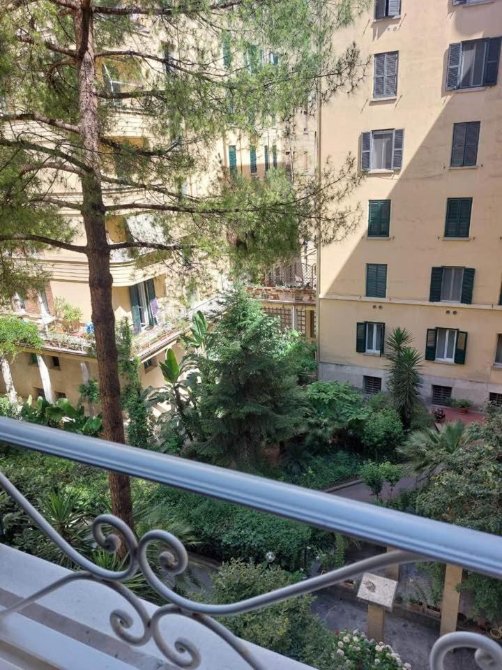 Rosy Roma